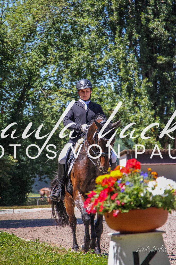 IMG_0988 | Erleben Sie dynamische Sport- und emotionale Tierfotografie in Süddeutschland mit Fotos von Paula. Spezialisiert auf Pferde- und Hundefotografie sowie Sportevents. Kontaktieren Sie mich für einzigartige und ausdrucksstarke Bilder Ihrer besonderen Momente. - Realisiert mit Pictrs.com