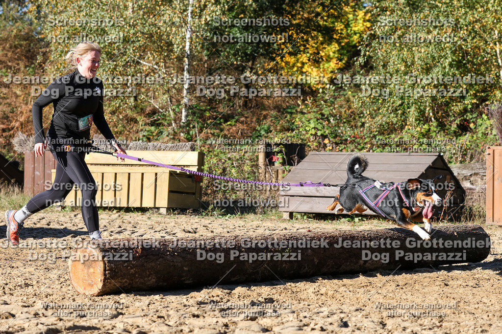 Dog Paparazzi - Strongdog 10-25-2174 | Dog Paparazzi Jeanette Grottendiek Fotografie & Videografie - Realisiert mit Pictrs.com