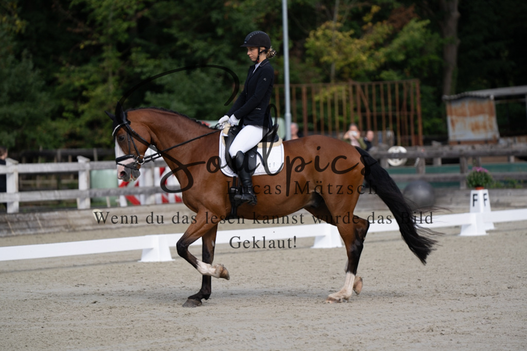 A7V06810 | Turnier/Reitfotograf