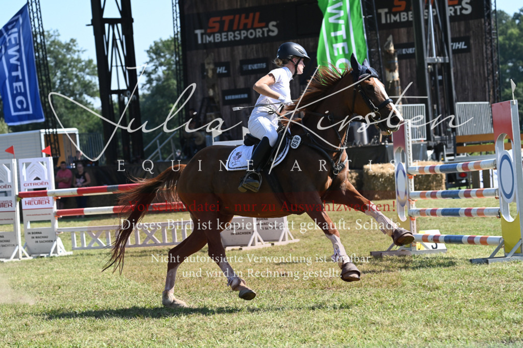 DSC_6407 | Pferde- und Turnierfotografie in Westsachsen. Pferdeportraits, Auftragszeichnungen und intuitive Kunst.