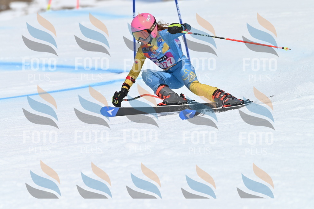 BGV_0562 | holidayphoto