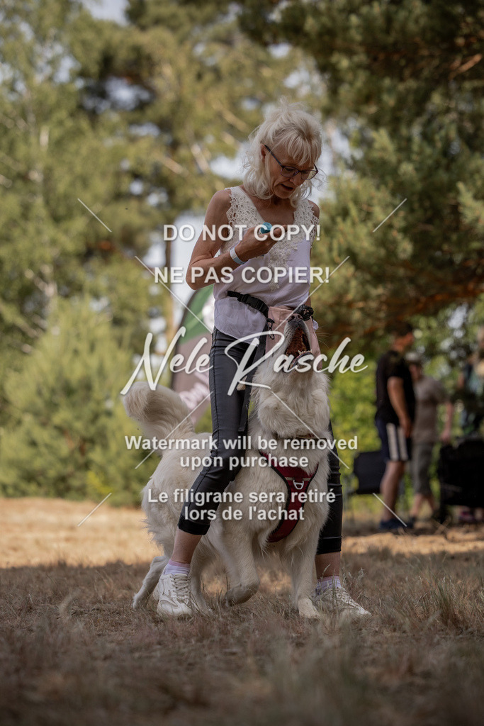 nelerasche_soDD2_198 | nelerasche