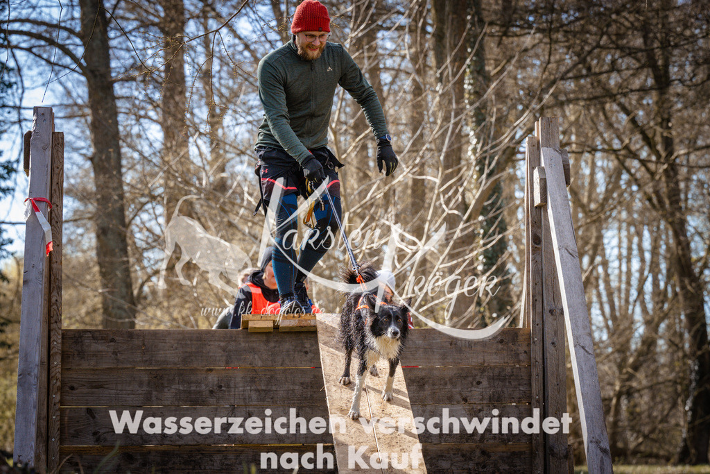 0913_ZZ94310 | kk-dogfotos