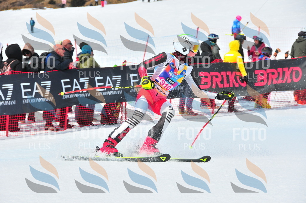 DSC_6630 | holidayphoto