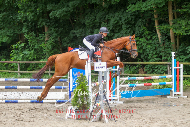 DKP44926 | Turniersportfotografie; Pferdefotografie; Dressurfotografie