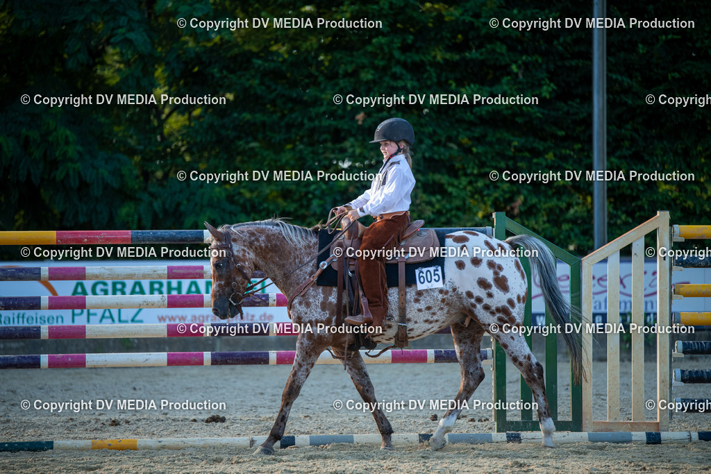 EWP_7225 | dv-media-shop - Realisiert mit Pictrs.com