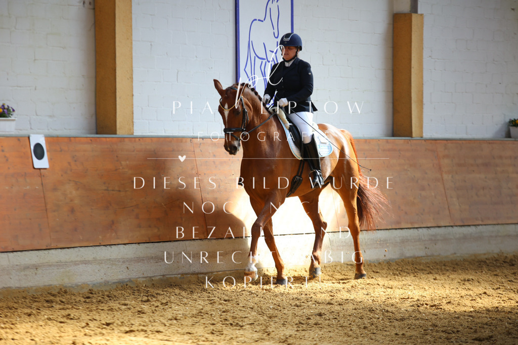 IMGT7086 | pl-fotografie