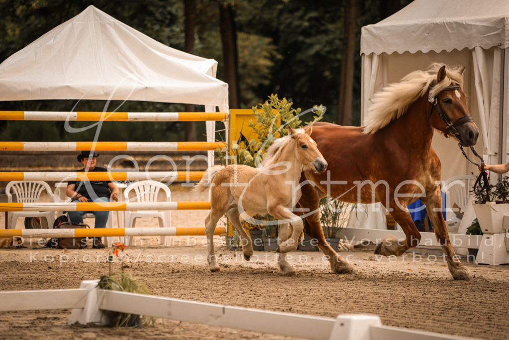 SaSF00019 | Leoni Ertmer Photography - Realisiert mit Pictrs.com