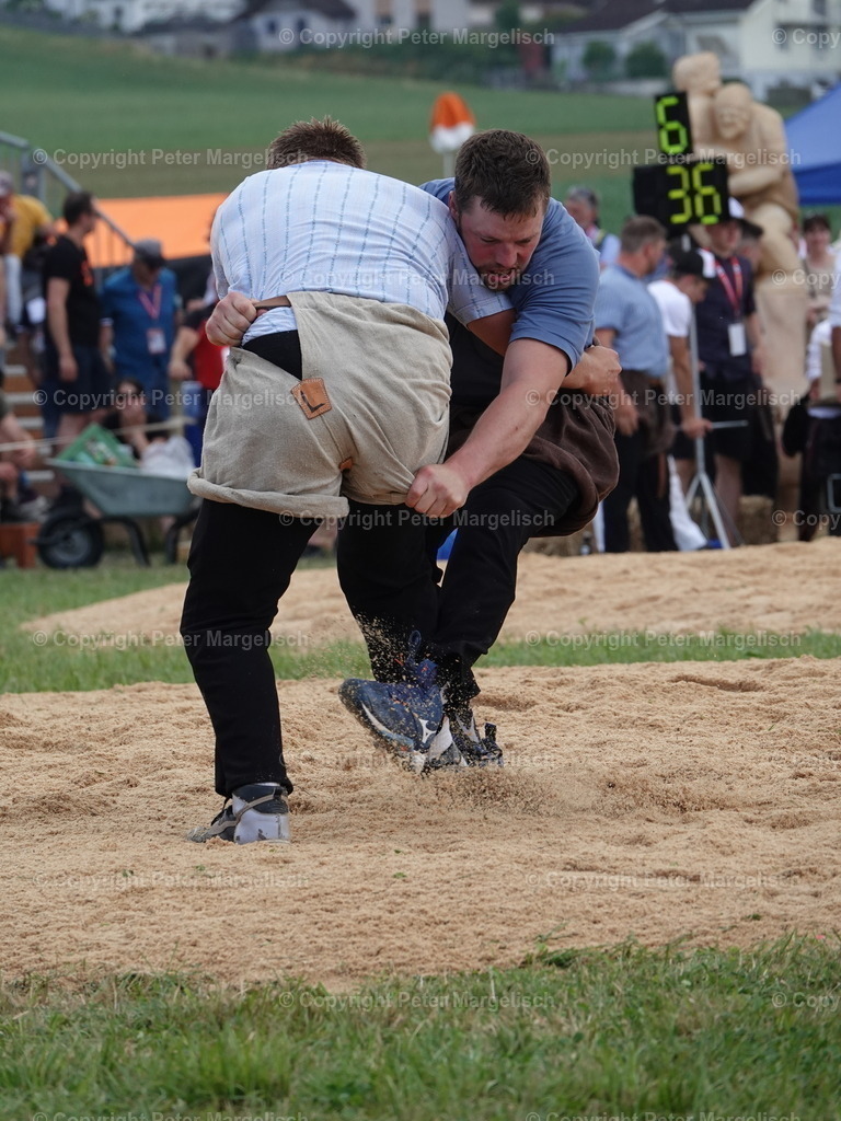 DSC04993 | Schwingen - Realisiert mit Pictrs.com