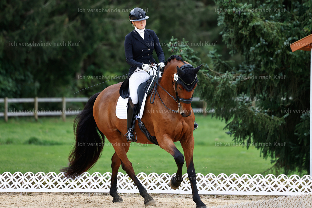 11-189-Dressur S___-StoibPH-911 | working equitationturnier fotograf videograf stoibphotography marixx film working equitation deutschland reitsport turnierfotografie eventfotografie equestrian events