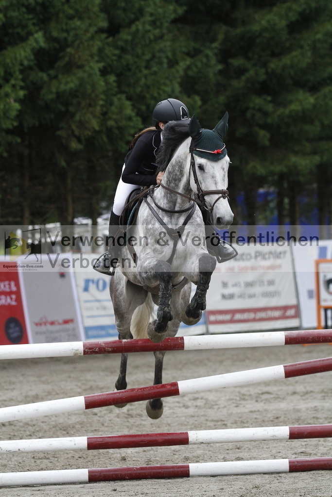 _MG_7379 | equestrian-live-com