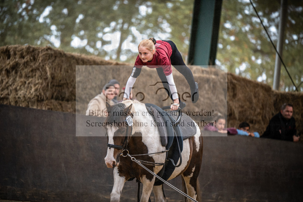 DOS_0224 | Entdecke hochwertige Reitturnierfotos von Foto Oger. Professionell, emotional und authentisch – jetzt Lieblingsmomente im Shop bestellen.Deutschlandweite Turnierfotografie. - Realisiert mit Pictrs.com
