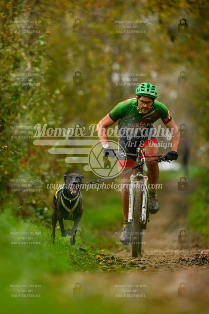 MompixPhotography_20TSB_E6_Bike-8 | PayLife