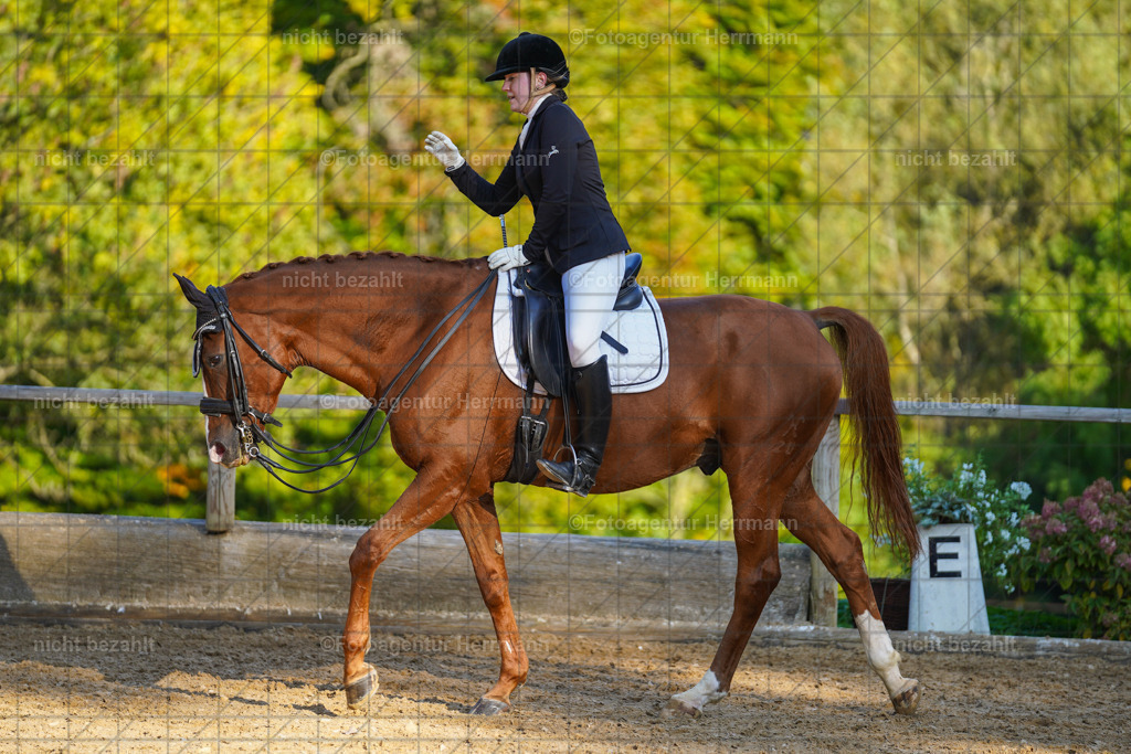 20221007-FAH00251 | Diessen am Ammersee, 2022, Dressur- und Springturnier, Reitsportbilder, Turnierfotografen Bayern, Pferdefotografen, Fotoagentur Herrmann, Turnierbilder