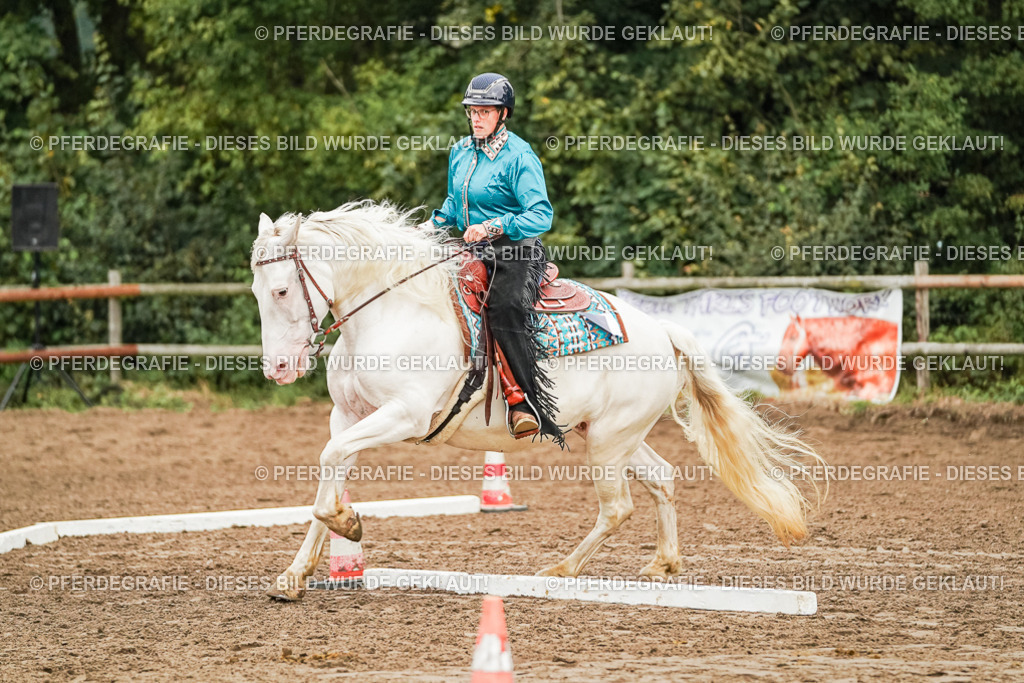 DSC03637 | Pferdegrafie