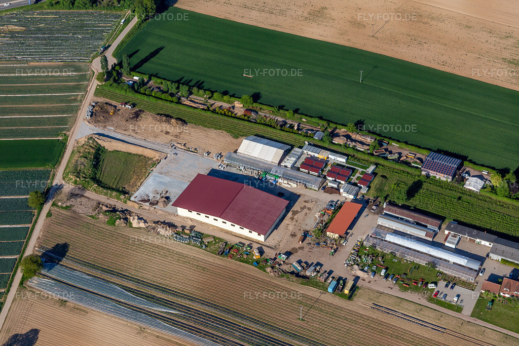 Luftbild: Neue Halle in Kandel im Bundesland Rheinland-Pfalz in Deutschland. Foto: IMG_126724.jpg vom 28.05.2021 durch Werner Riehm/FLY-FOTO.de