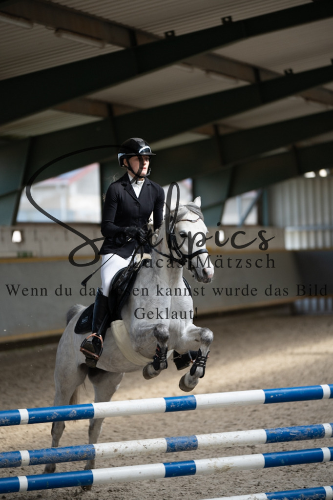 A7V06937 | Pferdefotograf