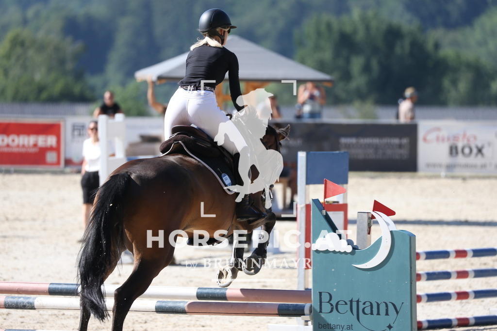 PP016514 | Willkommen bei Brunnmayr - Design & Fotografie – Ihrem Spezialisten für Reitturniere und Pferdeveranstaltungen in Oberösterreich, Salzburg und Bayern! Seit über 17 Jahren sind wir leidenschaftlich dabei.