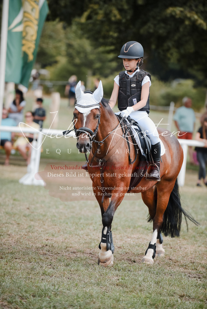 DSC_5474 | Pferde- und Turnierfotografie in Westsachsen. Pferdeportraits, Auftragszeichnungen und intuitive Kunst.