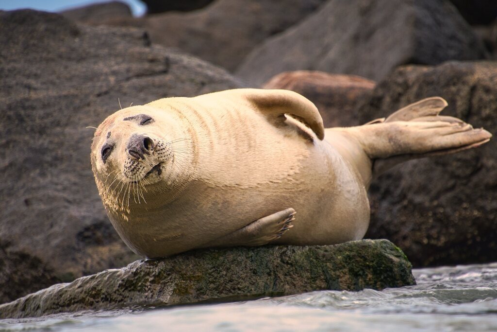 ZFC_7522 | Unvergessliche Erinnerungen in Bildern festgehalten! Ob Hochzeit, Shooting oder Landschaft  - Ich bin dein Fotograf in Erfurt und Umgebung! Photo-Rauch | Sandro Rauch - Realisiert mit Pictrs.com