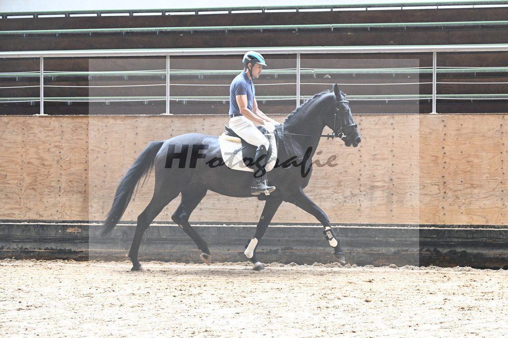 Kat-Nr. 6 Suzie Quattro v. Sezuan_Lehmann_31250026 | hf-fotografie - Realizzato con Pictrs.com