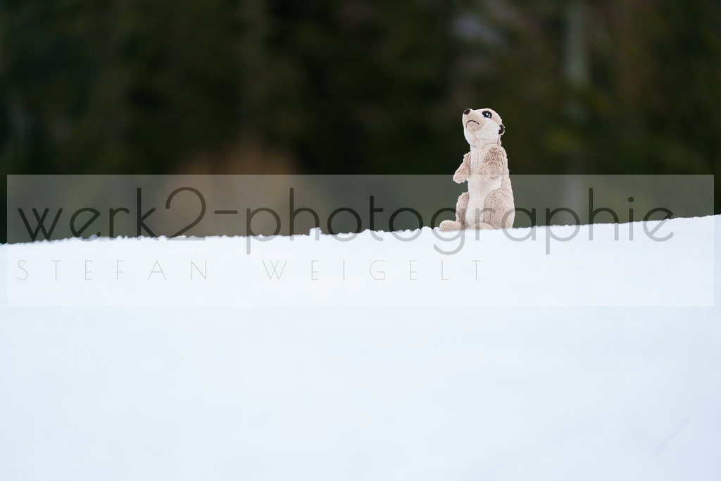 DSC Ruhpolding | 3. DSV E.INFRA Schülercup Biathlon in der Chiemgau Arena Ruhpolding