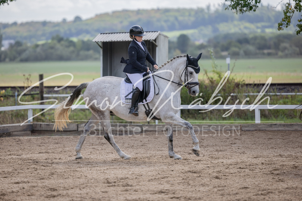 20260905-_3LI7683 | Tierfotografie Pferde, Hunde, Katzen, Haustiere.
Turnierfotografie Reitturniere, Reiten, Springreiten, Dressur in Hanau, dem Main-Kinzig-Kreis und dem Rhein-Main- Gebiet um Frankfurt