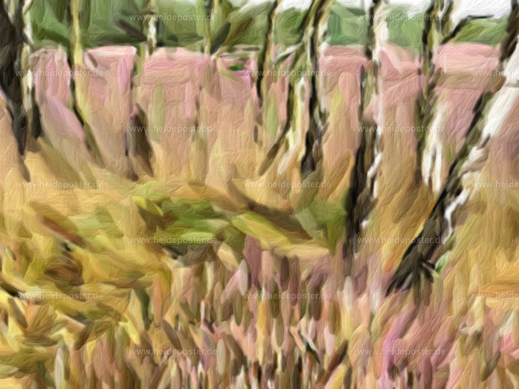 brushed_14kre107 | Poster aus der Lüneburger Heide - Realisiert mit Pictrs.com