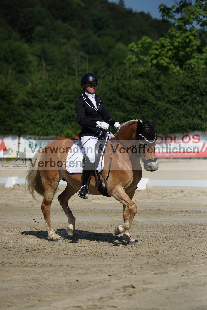 DSC02993 | equestrian-live-com