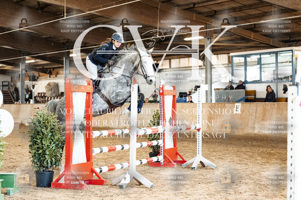 CK904891 | Turnierfotografie Pferdefotografie Trier Rheinland-Pfalz Pferdesport Reitsport Tierfotografie Sportfotografie Pferdevideo Pferdevideografie Equestrianvideography equestrianphotography  - Realized with Pictrs.com