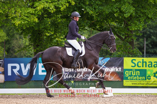 DKP41177 | Turnierfotos kaufen im Webshop von Daniel Kuhl Photography – entdecke professionelle Reitsportfotos aus Turnieren & Events. Hochwertige Turnierbilder online bestellen & sichern. Jetzt Fotos von Reitsportturnieren kaufen!
