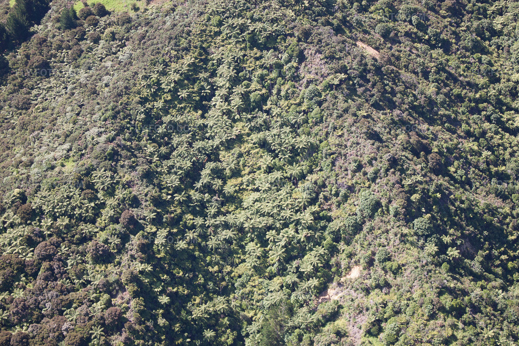 Aerial view: View of the town in Coromandel in the state Waikato, New Zealand.Photo: IMG_55778.jpg taken on 01/12/2013 by Werner Riehm/FLY-FOTO.comResolution of the original: 4752 x 3168 px