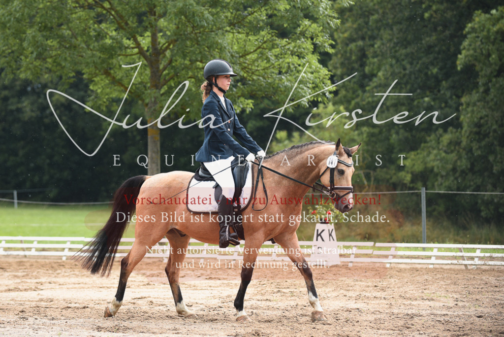 DSC_0044 | Pferde- und Turnierfotografie in Westsachsen. Pferdeportraits, Auftragszeichnungen und intuitive Kunst.
