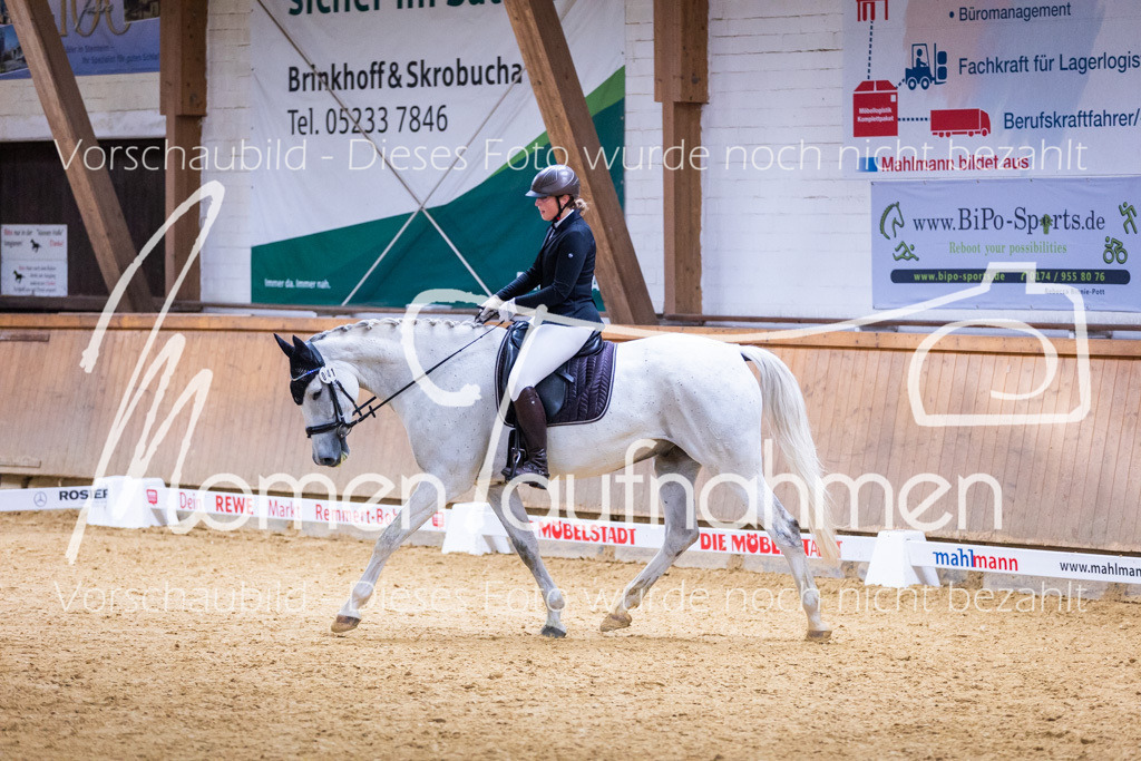 Sth-A-Dre-2St-086 | MomenTaufnahmen Pferdesportfotos