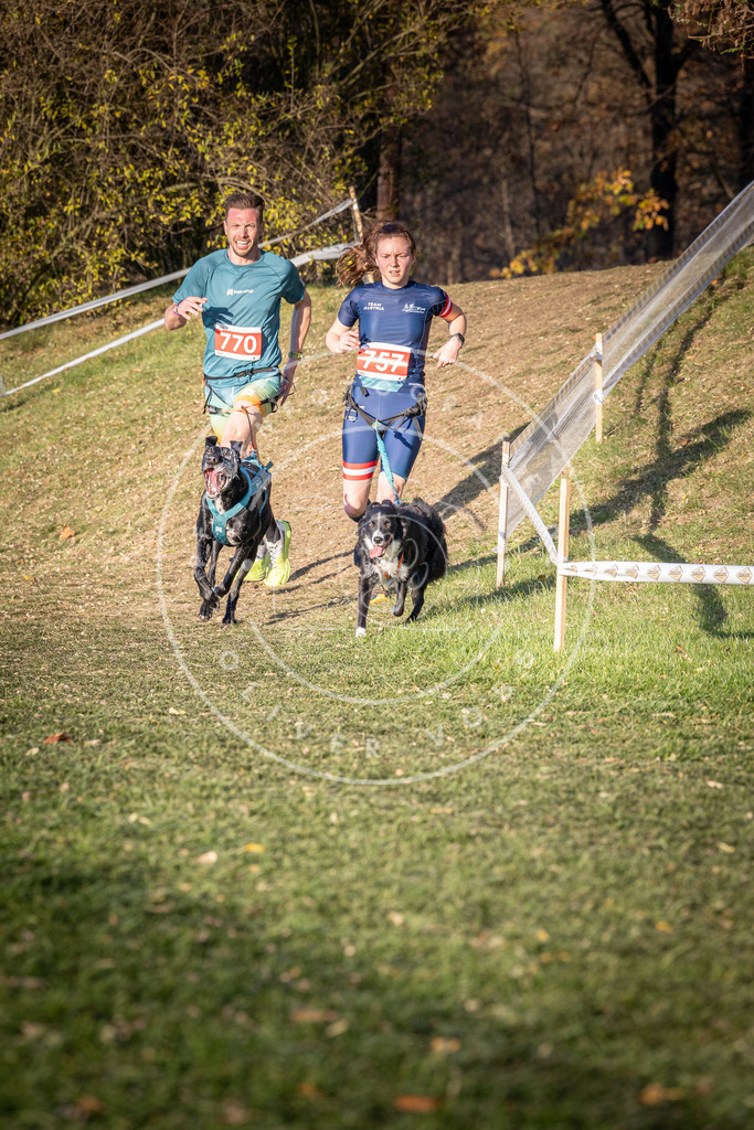 CaniXpix_0L8A0042 | Hundefotografie, Tierfotograf, Pfotenfotografie, Fotoshooting Hund, Hunde Portrait, Hundesport, Hundeportraits, Heideshooting, Hunde, Sportfotograf, Hundefotograf, Turnierhundsport, THS,  - Realisiert mit Pictrs.com