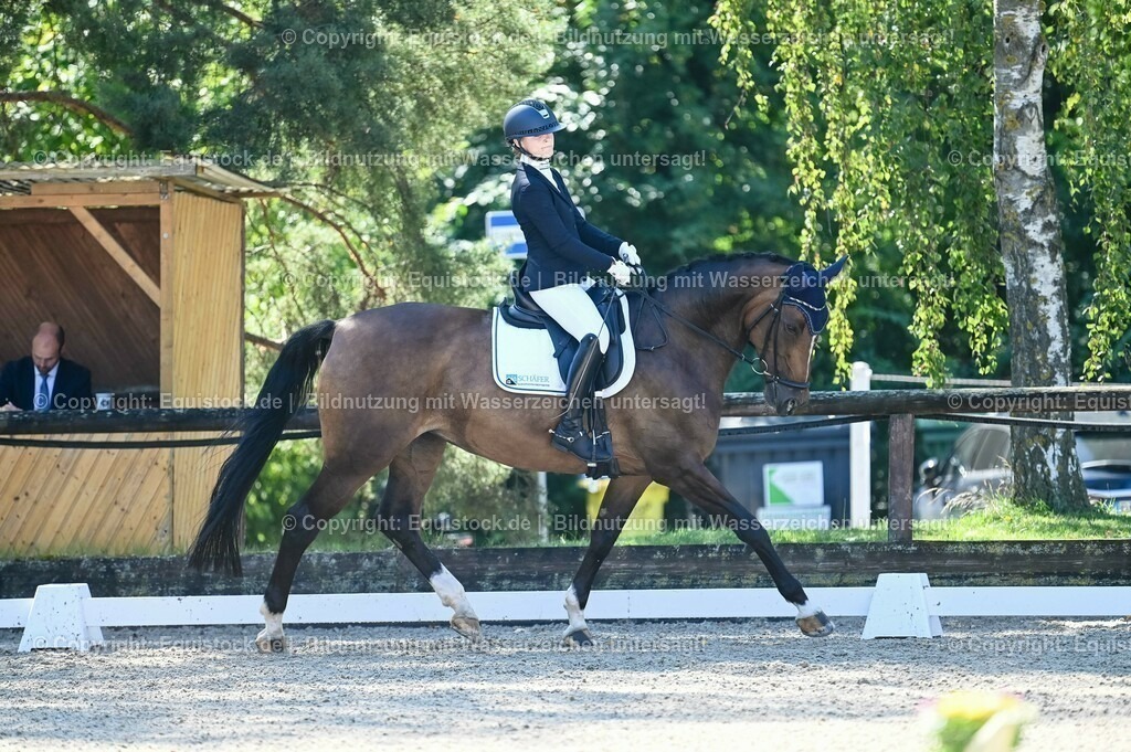 20230908_06_Dressur-L-Trense_0404 | equistock