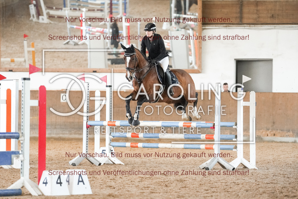 DSC09983 | Reitturnier_Göppingen_April_2026, Alisa_Fruh, Firmusa_6