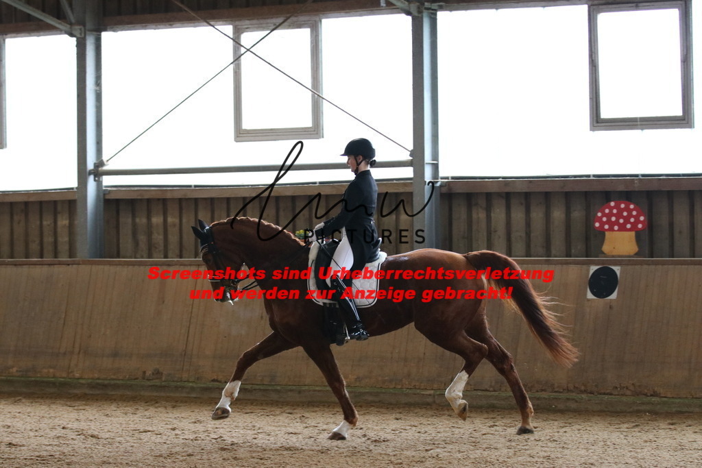 IMG_0793 | lmwpictures - Realisiert mit Pictrs.com