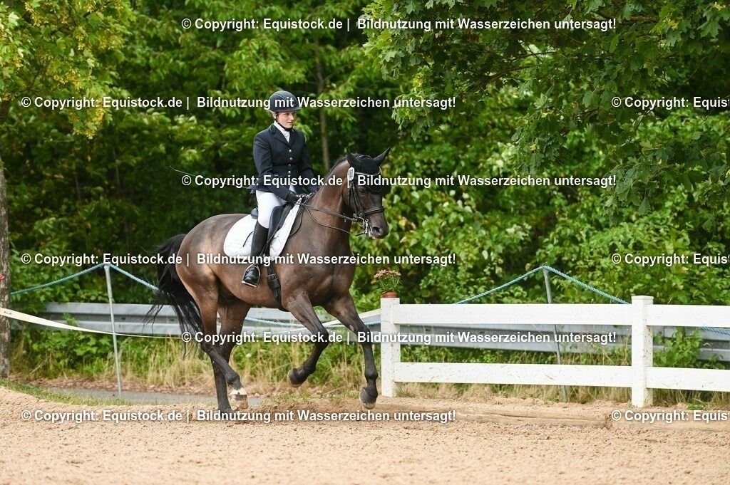 20230716_01_Dressurprüfung Kl.M_0418 | equistock