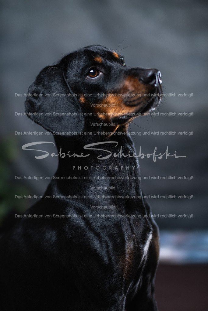 DSCF4417 | People- und Tierfotografie, Imageaufnahmen, Veranstaltungsfotografie und Wandbilder aus der Natur ★ Made in Germany ✔️ Druck + Downloads ✔️ Naturfotografie in Top Qualität ★ schneller Versand, weltweite Lieferung! - Realisiert mit Pictrs.com