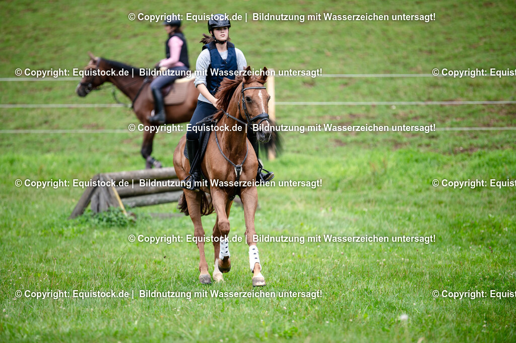 20250725_Vielseitigkeitslehrgang-Marbach_0353 | Foto: Thomas Hartig