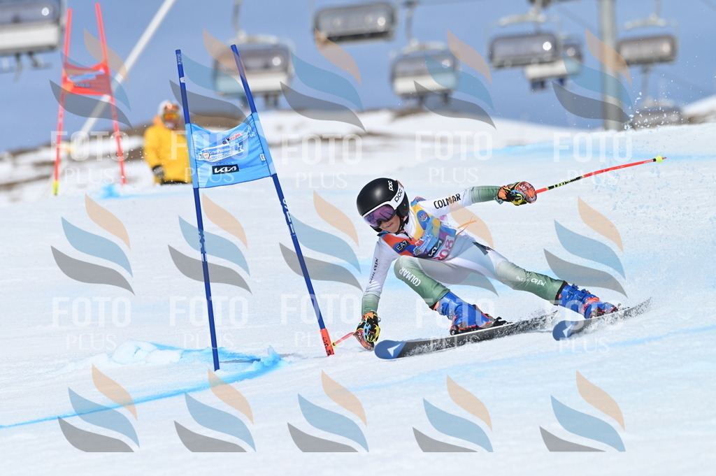 BGV_1110 | holidayphoto