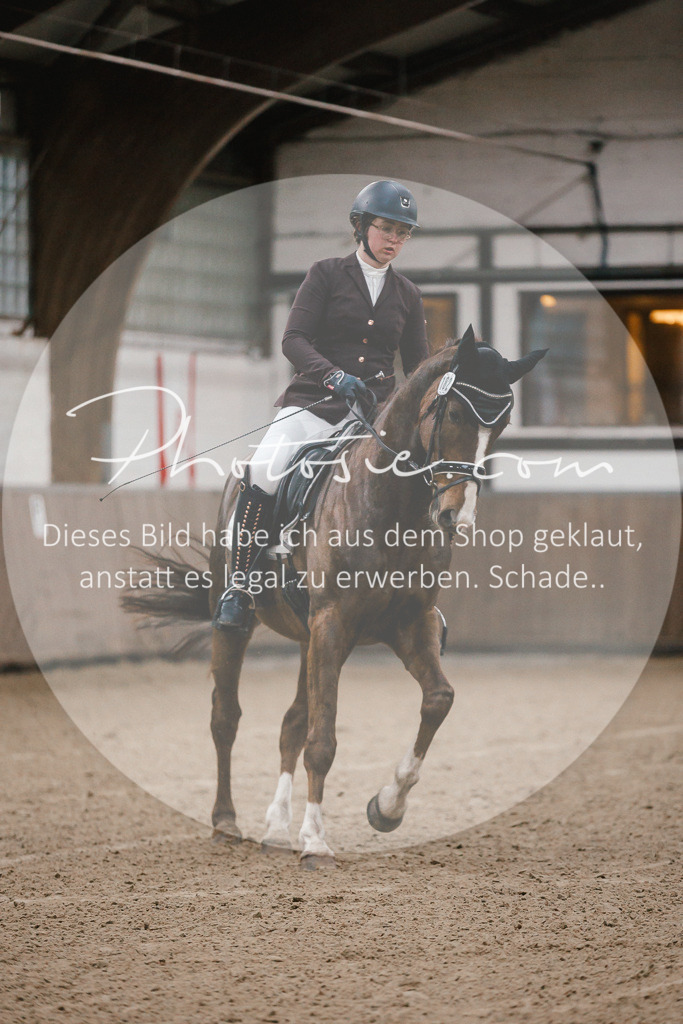 3I6A5901 | Stimmungsvolle Portraits und Reitsportfotografie im Ruhrgebiet und im Münsterland.

Pferdefotografie, Hundefotografie, Tierfotografie, Reportagen, Portraits von Tier und Mensch, Turnierfotografie in Bochum, Recklinghausen, Marl, Haltern am See, Dülmen.. - Realisiert mit Pictrs.com