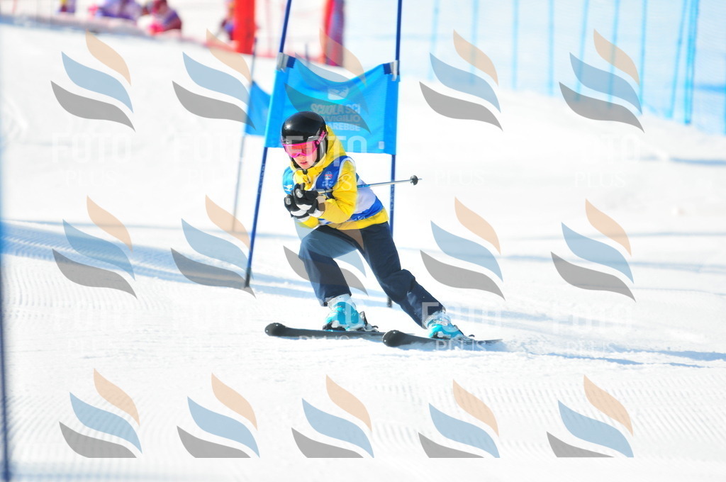 B8792 | holidayphoto