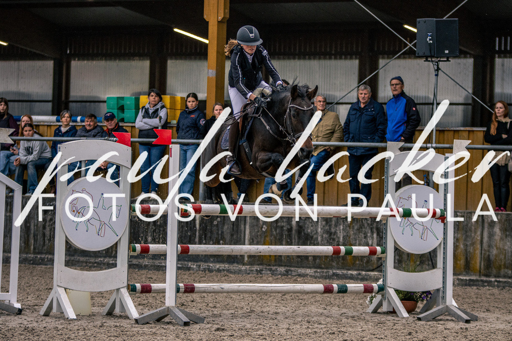 IMG_6127 | Erleben Sie dynamische Sport- und emotionale Tierfotografie in Süddeutschland mit Fotos von Paula. Spezialisiert auf Pferde- und Hundefotografie sowie Sportevents. Kontaktieren Sie mich für einzigartige und ausdrucksstarke Bilder Ihrer besonderen Momente. - Realisiert mit Pictrs.com