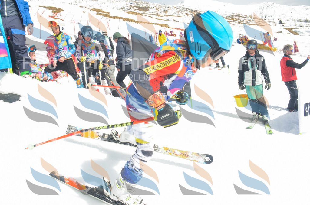 _ELE6962 | holidayphoto