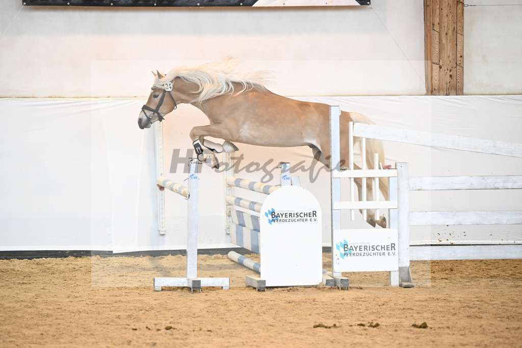 Kat-Nr. 24 v. Waaris-Z_Hock_6240353 | hf-fotografie - Realisiert mit Pictrs.com