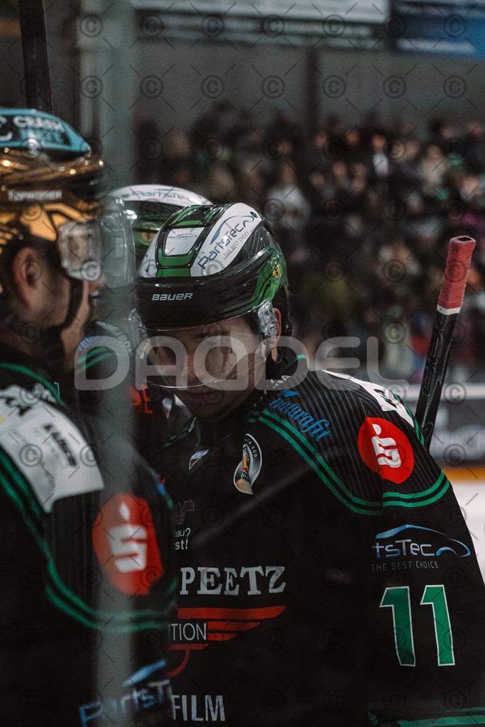 Alligators_vs_Peiting_04_01_2026-062 | Höchstadt Alligators Fotogalerie: Eishockey-Action aus Franken. Professionelle Spielfotos, Portraits & Stadionbilder zum Download. Jetzt entdecken! - Realisiert mit Pictrs.com