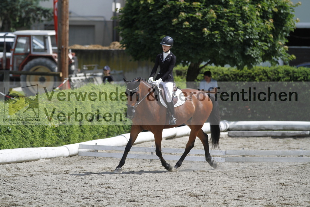 _MG_8462 | equestrian-live-com