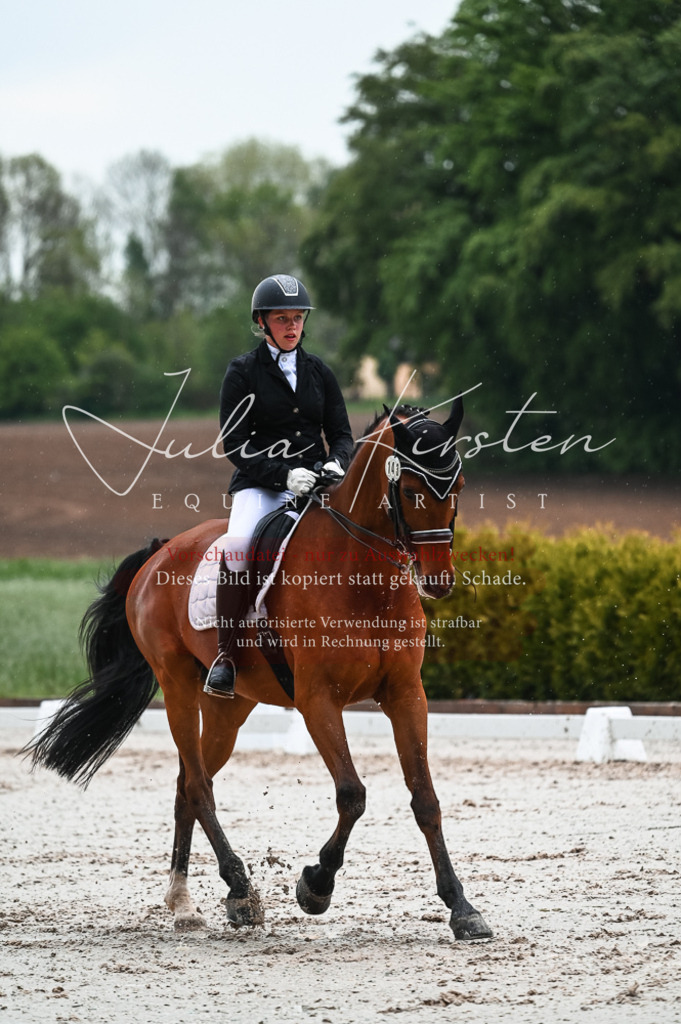 DSC_4403 | Pferde- und Turnierfotografie in Westsachsen. Pferdeportraits, Auftragszeichnungen und intuitive Kunst.